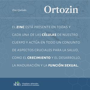 Ortozin